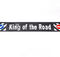 Брызговик ’KING OF THE ROAD’ (обьемный текст) 35*240