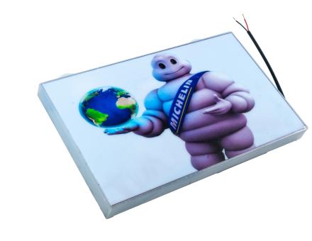 Светодиодная LED панель Michelin Bibendum с подсветкой, 12–24 В