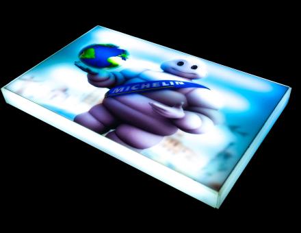 Светодиодная LED панель Michelin Bibendum с подсветкой, 12–24 В