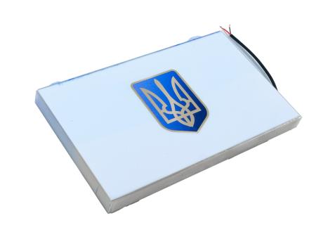 Светодиодная LED панель Флаг Украины с Трезубцем 12–24В для авто
