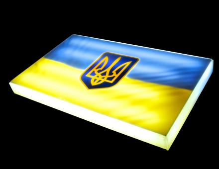 Светодиодная LED панель Флаг Украины с Трезубцем 12–24В для авто
